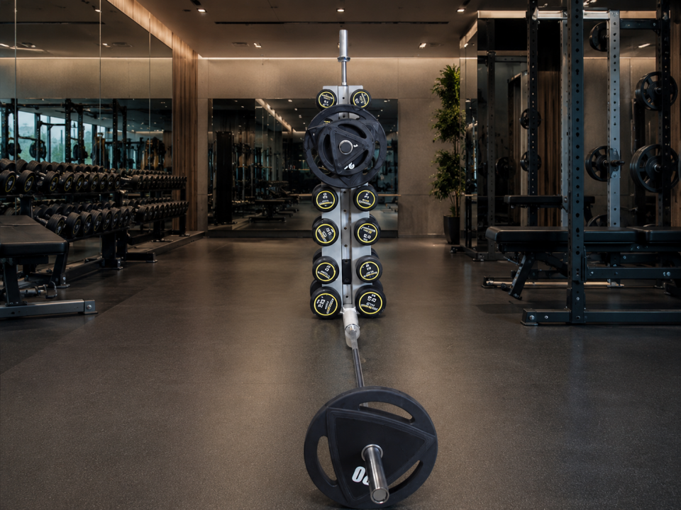 Hamton FitLine AxisTower 180 - Dambıl Bar ve Plaka Standı